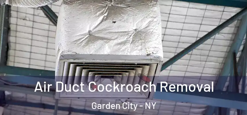  Air Duct Cockroach Removal Garden City - NY