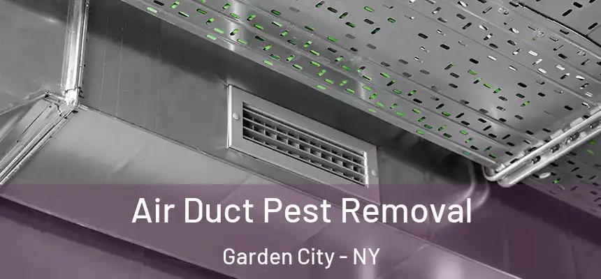  Air Duct Pest Removal Garden City - NY