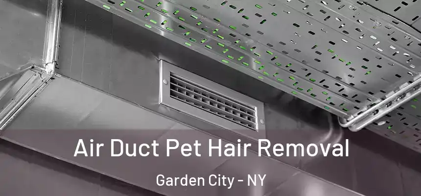  Air Duct Pet Hair Removal Garden City - NY