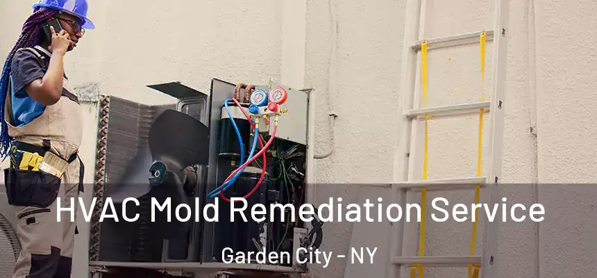  HVAC Mold Remediation Service Garden City - NY