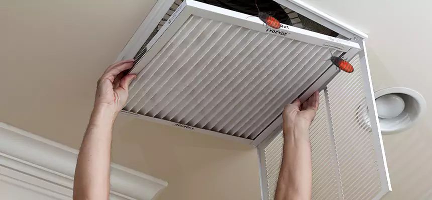 Our Insect Removal from Air Ducts Services in Garden City, NY
