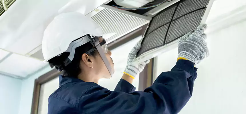 Our Mold & Mildew Removal from Air Ducts Services in Garden City, NY