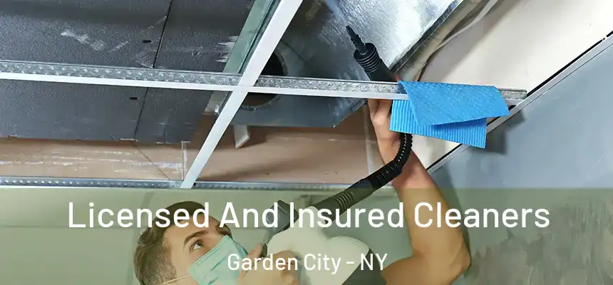  Licensed And Insured Cleaners Garden City - NY