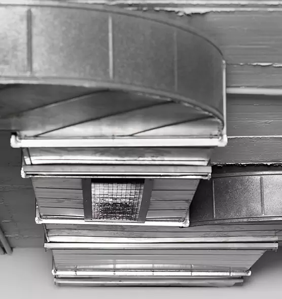 Professional Air Duct Pet Hair Removal in Garden City, NY