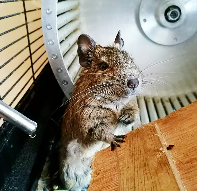 Why Homeowners & Businesses Trust Us Garden City, NY?